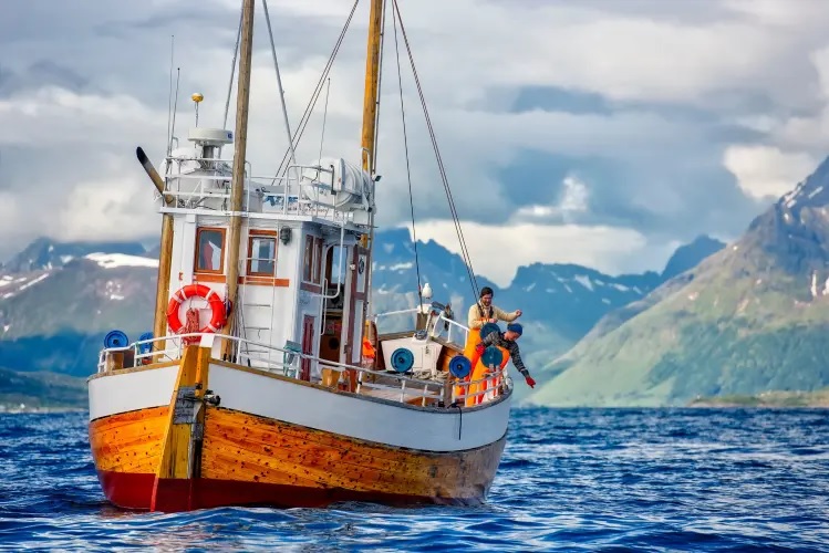 Descubra la pesca tradicional en las Islas Lofoten con las Hurtigruten Lofoten Food Experiences HURTIGRUTEN CRUCEROS FIORDOS NORUEGOS TROLLFJORD NORWAY CRUISES HURTIGRUTEN #Hurtigruten #NorwayFjords #FiordosNoruegos #Lofoten